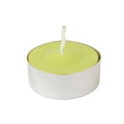 ZEST CANDLE Zest Candle CTC-001 Lime Green Citronella Tealight Candles -100pcs-Box CTC-001
